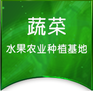 开云·电竞-开云电竞官网入口-Kaiyun Esports
